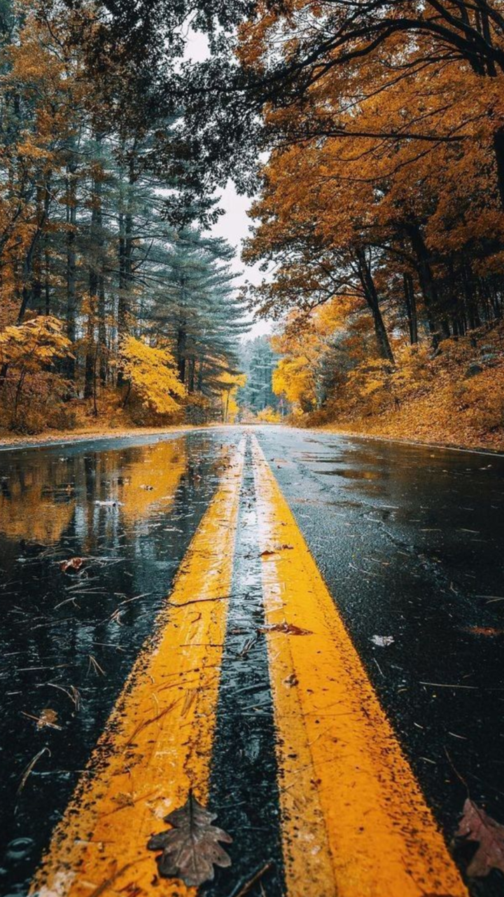 Autumn, Rain, And Fall Image - Autumn Rain Wallpaper Hd - HD Wallpaper 