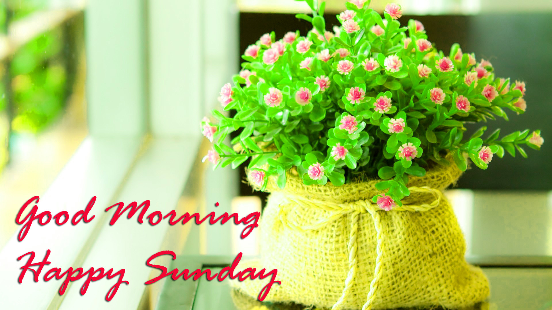 Beautiful Hd Sunday Good Morning Images Pics Download - Beautiful Good  Morning Sunday Images Hd - 1920x1080 Wallpaper 