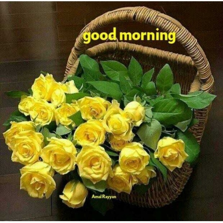 Sunday Good Morning Images In Hindi - Good Morning Yellow Rose - HD Wallpaper 