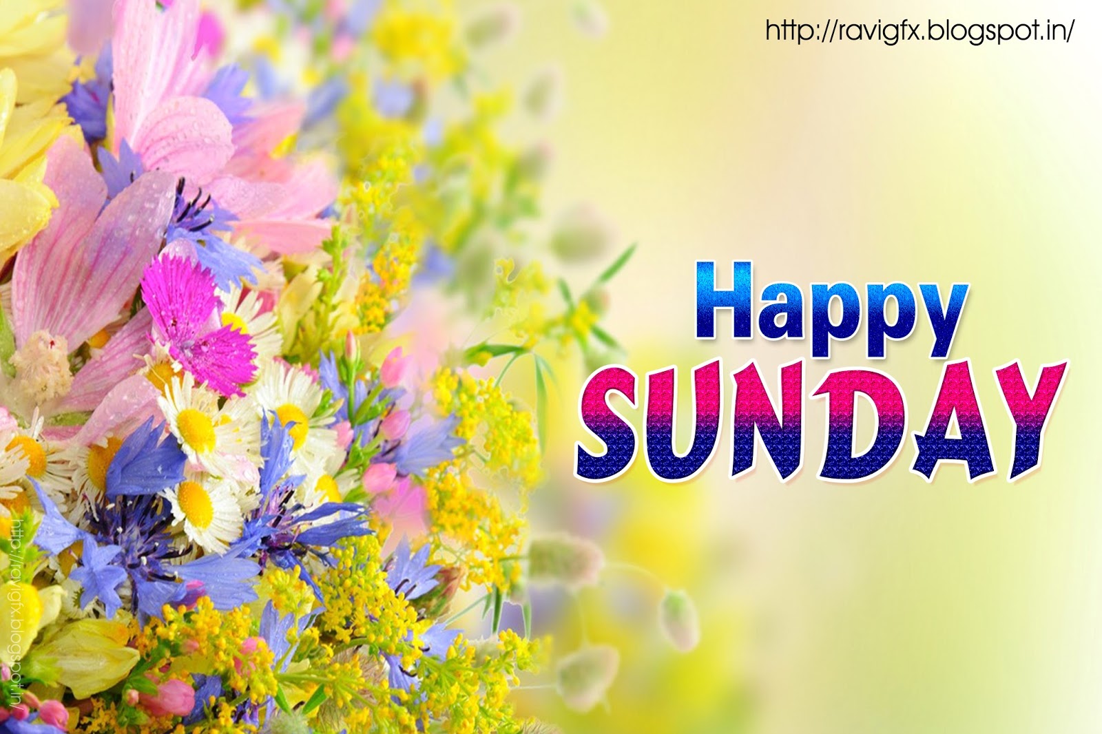 Happy Sunday Wallpaper Download - Flower Wallpaper Full Hd - HD Wallpaper 