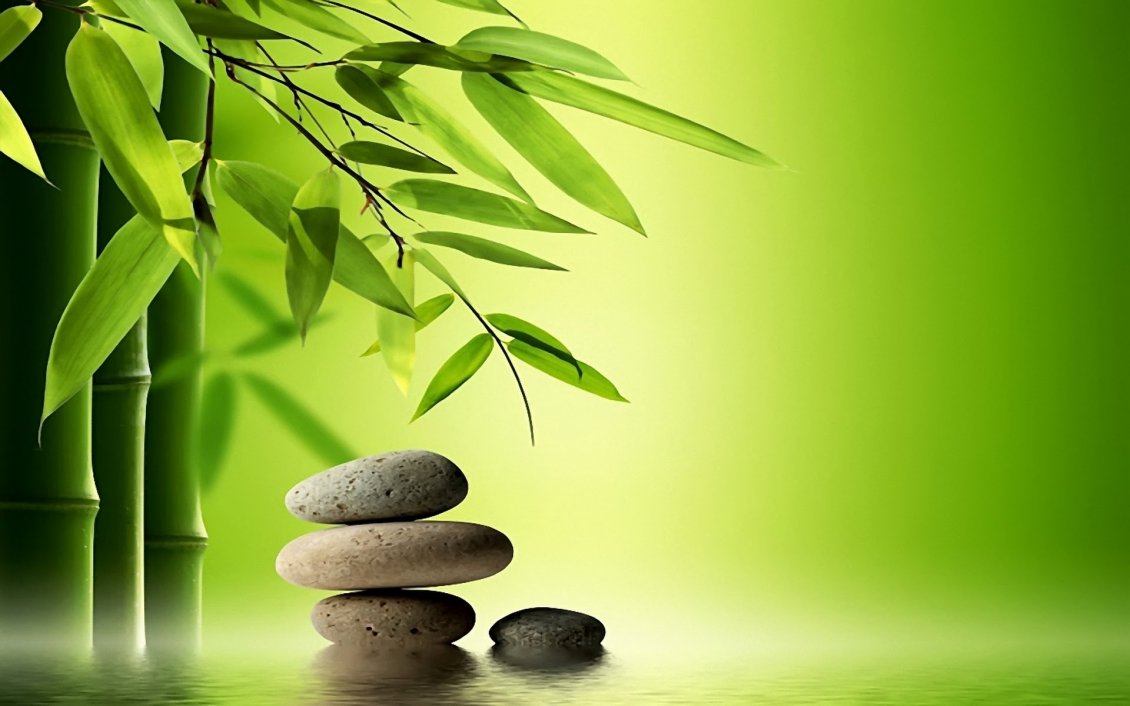 Download Wallpaper Bamboo Tree And Special Rocks For - Bamboo Tree - HD Wallpaper 