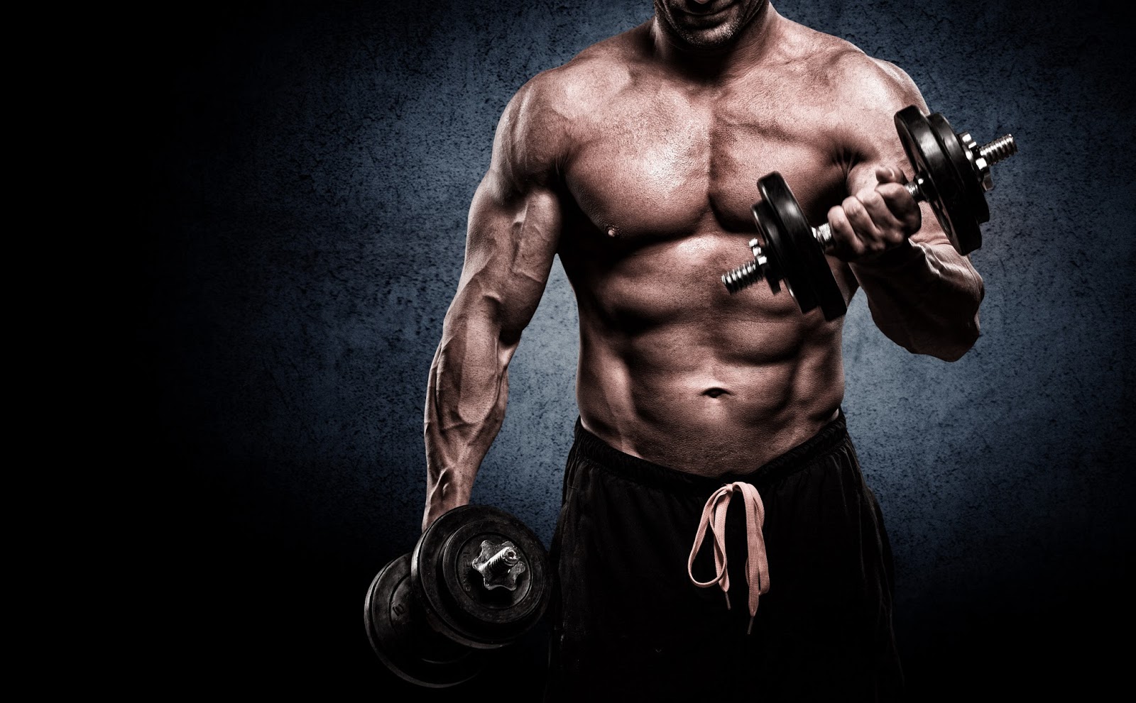 download work out download work out
