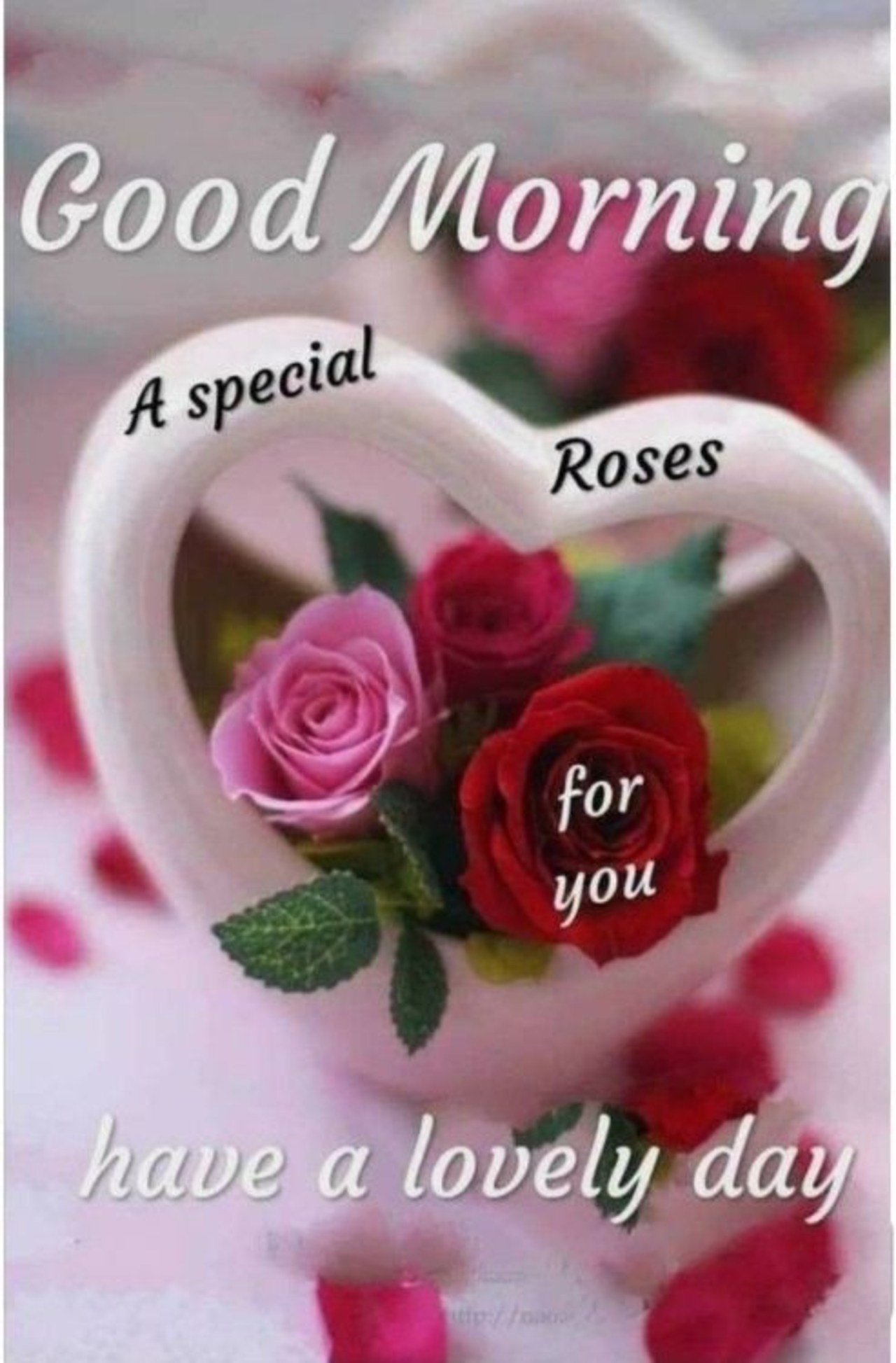 Good Morning Lovely Monday - HD Wallpaper 