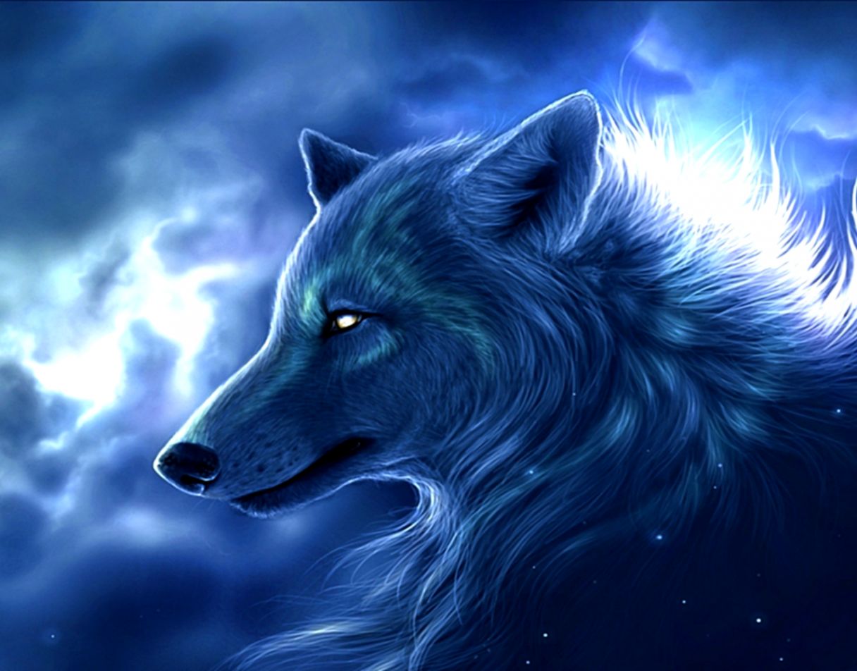 Beautiful Design 3d Wolf Wallpaper Arctic S And Background - Arctic Wolf Fan Art - HD Wallpaper 