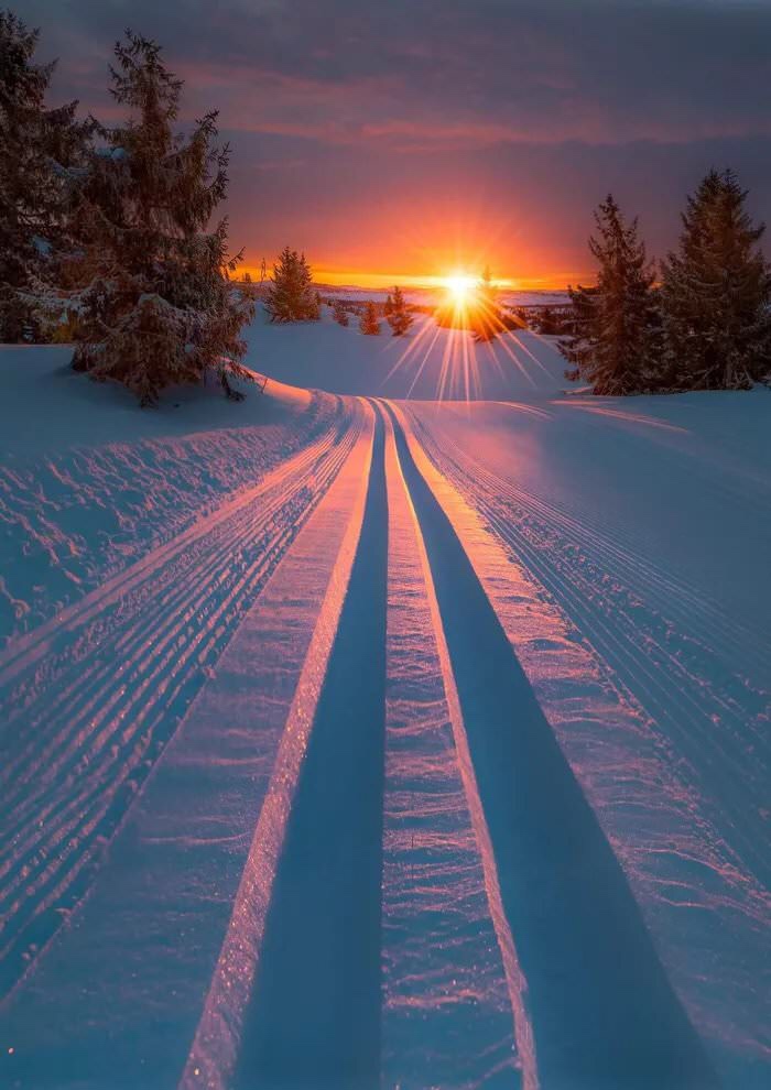 Winter Sunrise - HD Wallpaper 
