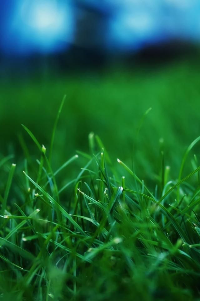 Soothing Wallpaper For Mobile - 640x960 Wallpaper Soothing Wallpaper For Mobile - 640x960 Wallpaper
