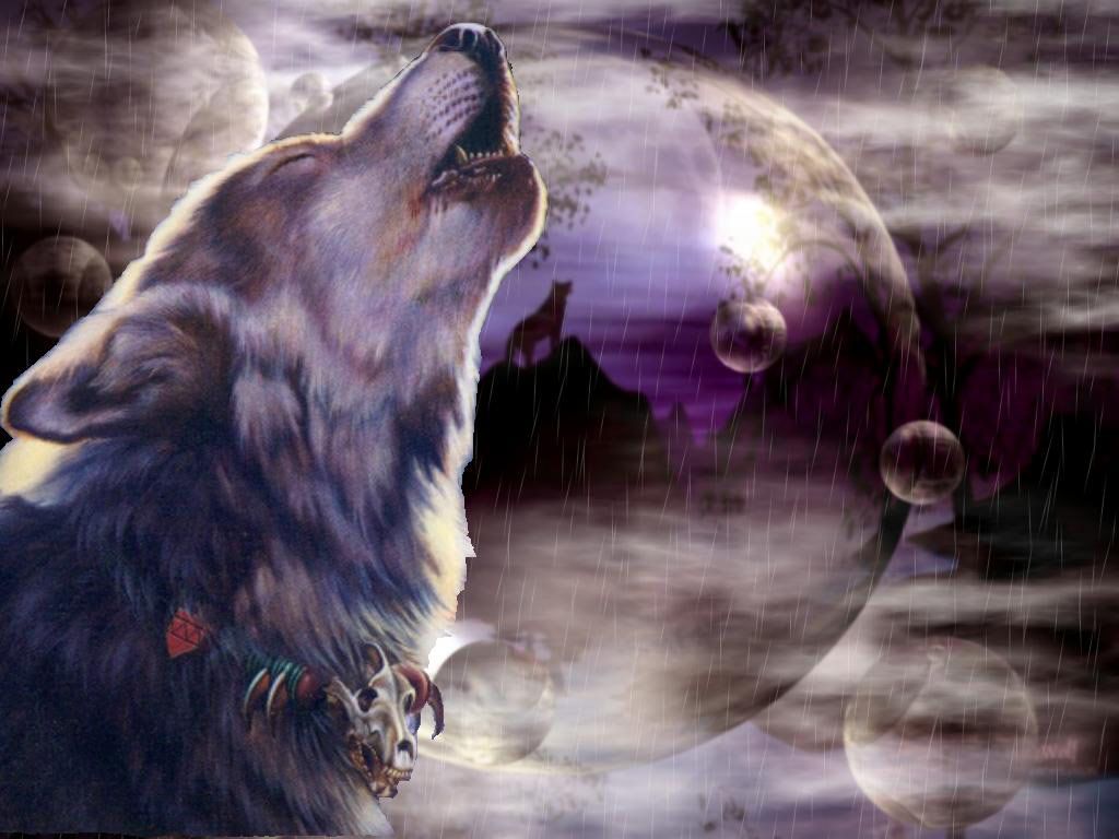 Wolf Backgrounds Free - HD Wallpaper 