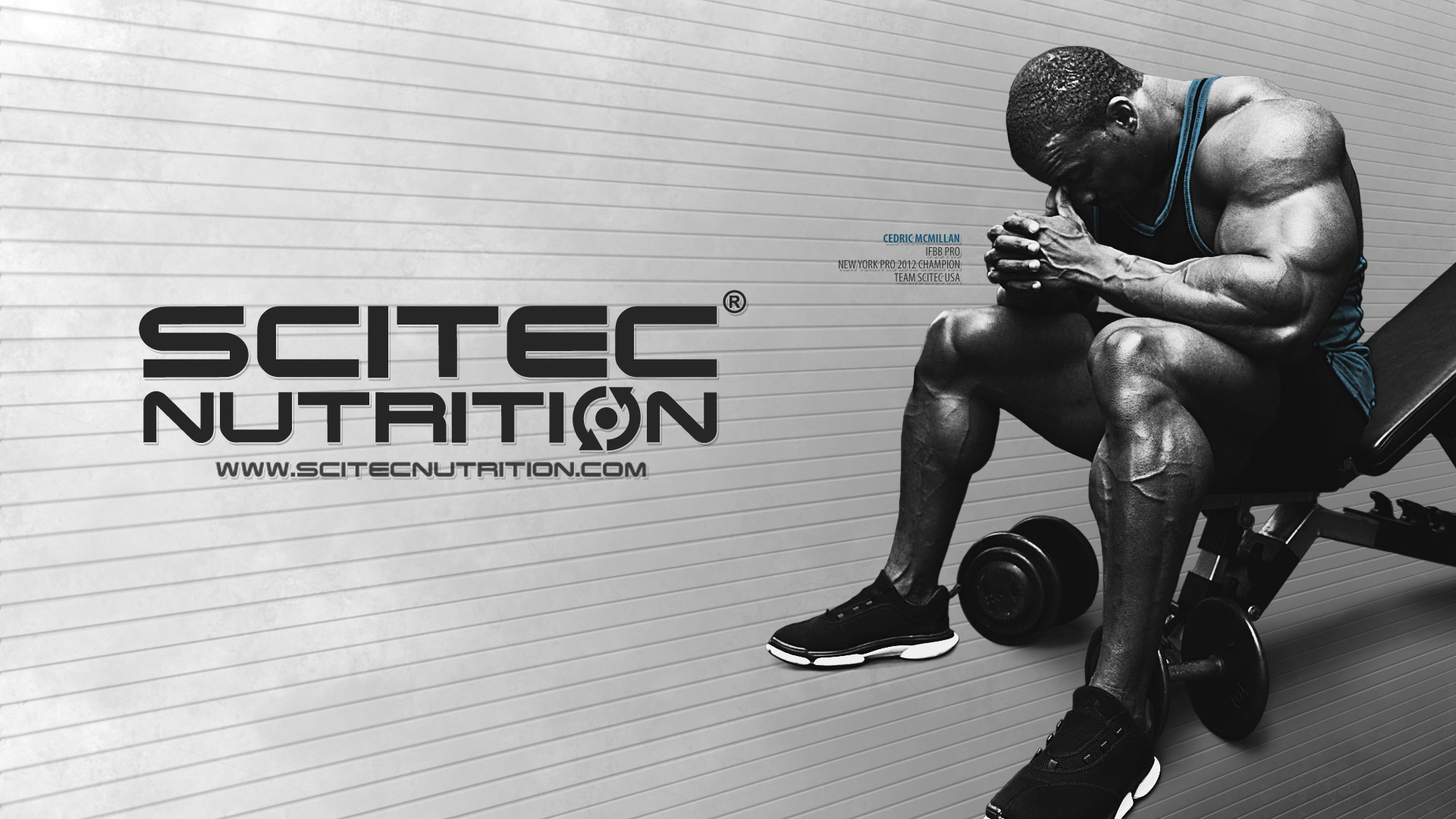 Scitec Nutrition Wallpaper - Scitec Nutrition - HD Wallpaper 