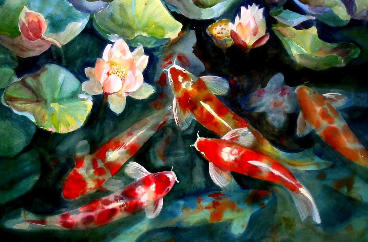 Koi Pond Wallpaper Hd - HD Wallpaper 