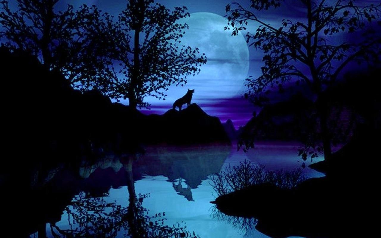 Wolf Howling At Full Moon - HD Wallpaper 