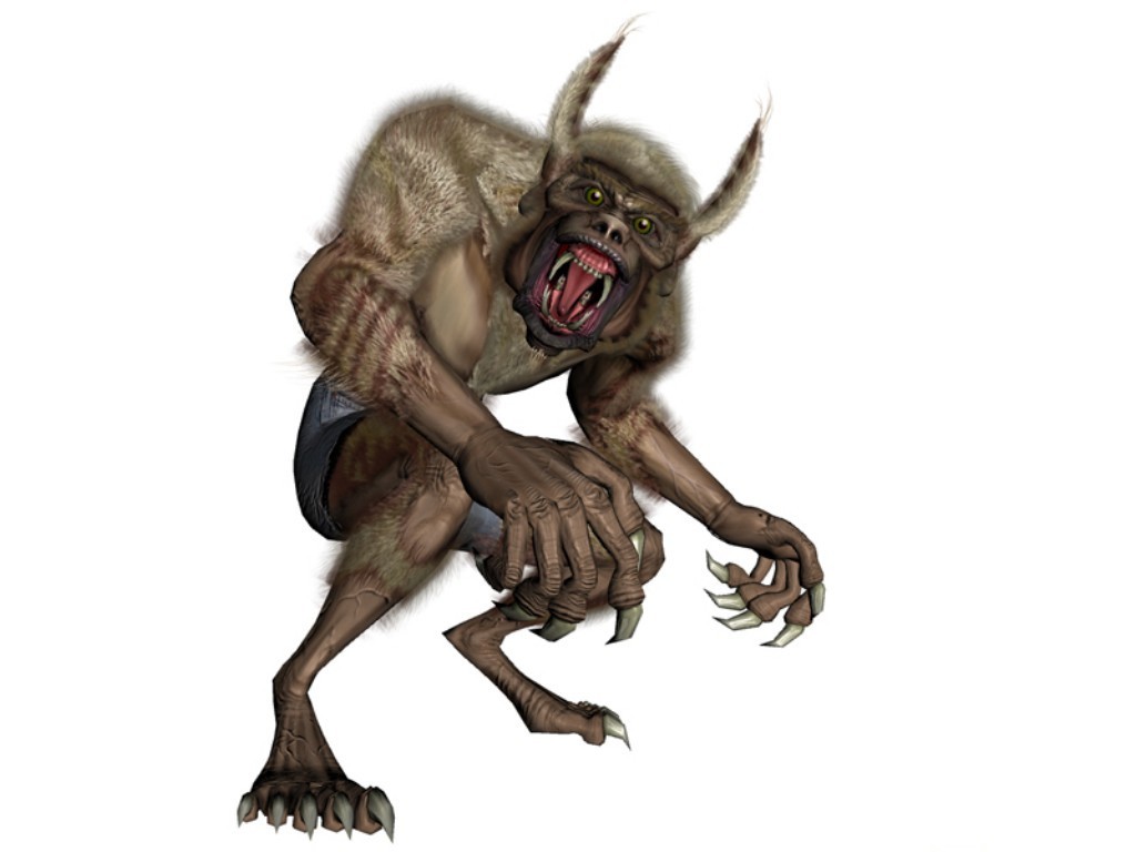 Wolf Serigala Jadian Wallpaper - Werewolf - HD Wallpaper 