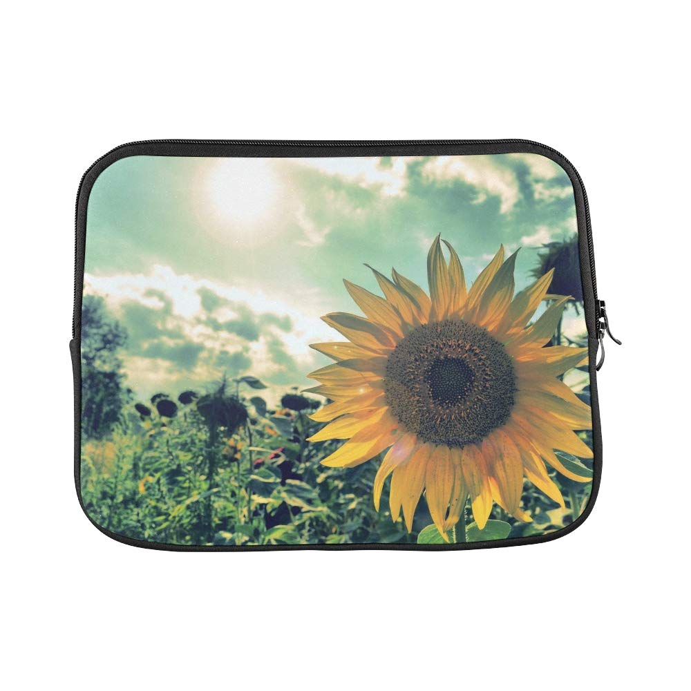 Good Morning Imege Sunflower - HD Wallpaper 