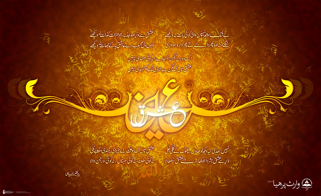 House Of Night Escolhida - HD Wallpaper 