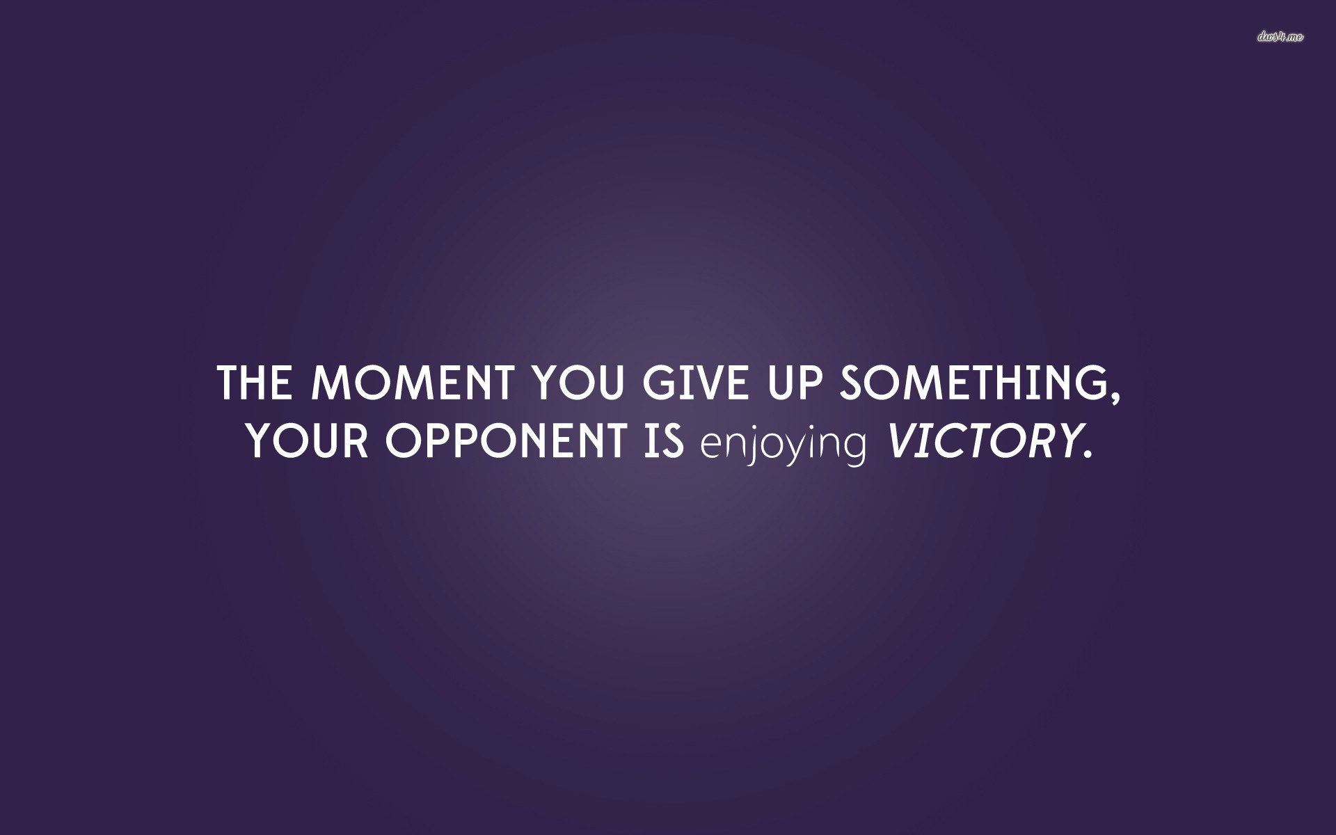 Wallpaper - HD Wallpaper 