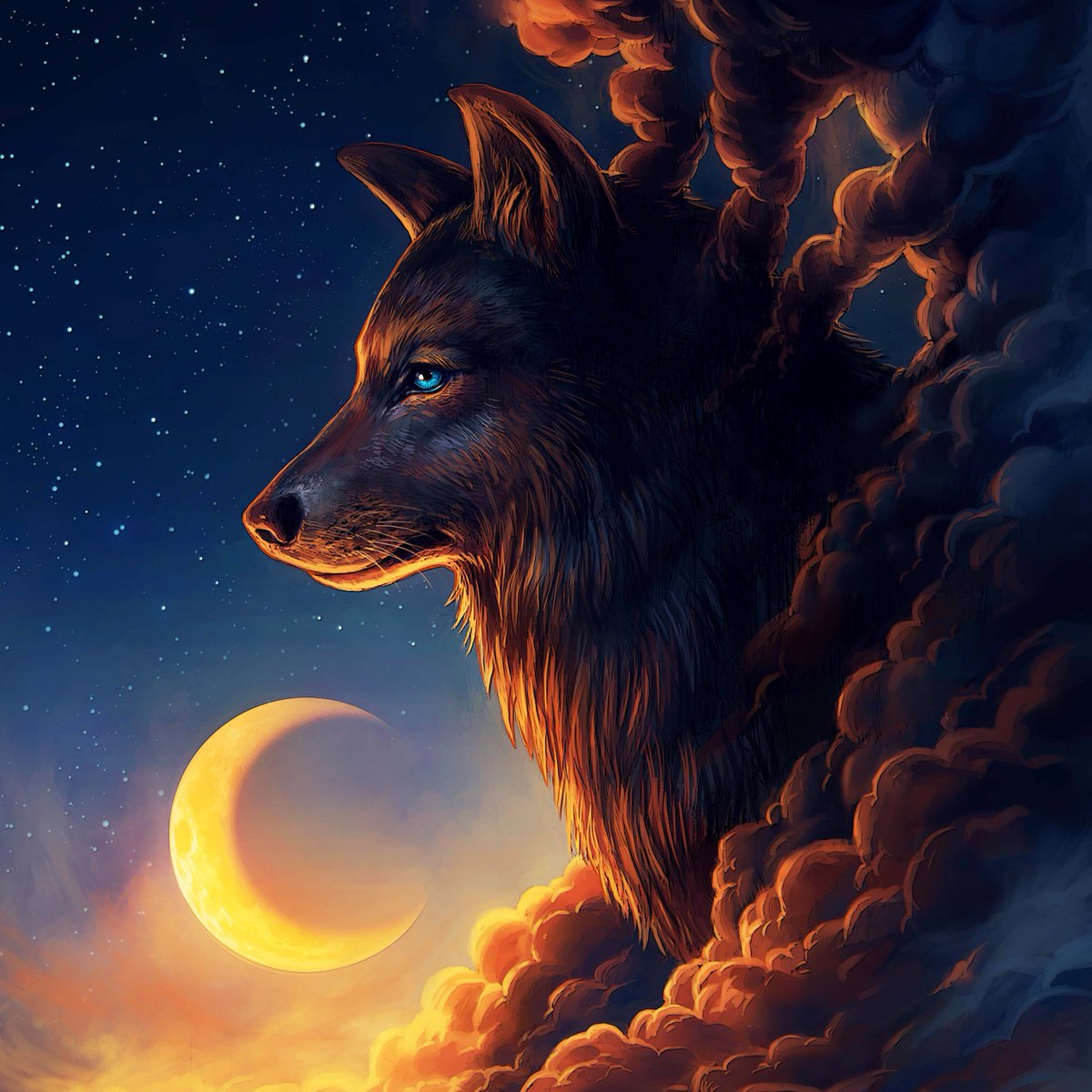 Cool Wolf - HD Wallpaper 