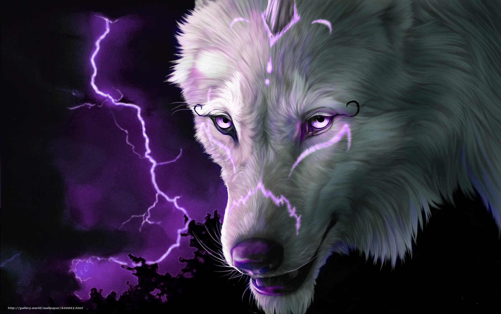 Download Wallpaper Wolf, View, Lightning, 3d Free Desktop - Wolf Mystical Cool Backgrounds - HD Wallpaper 
