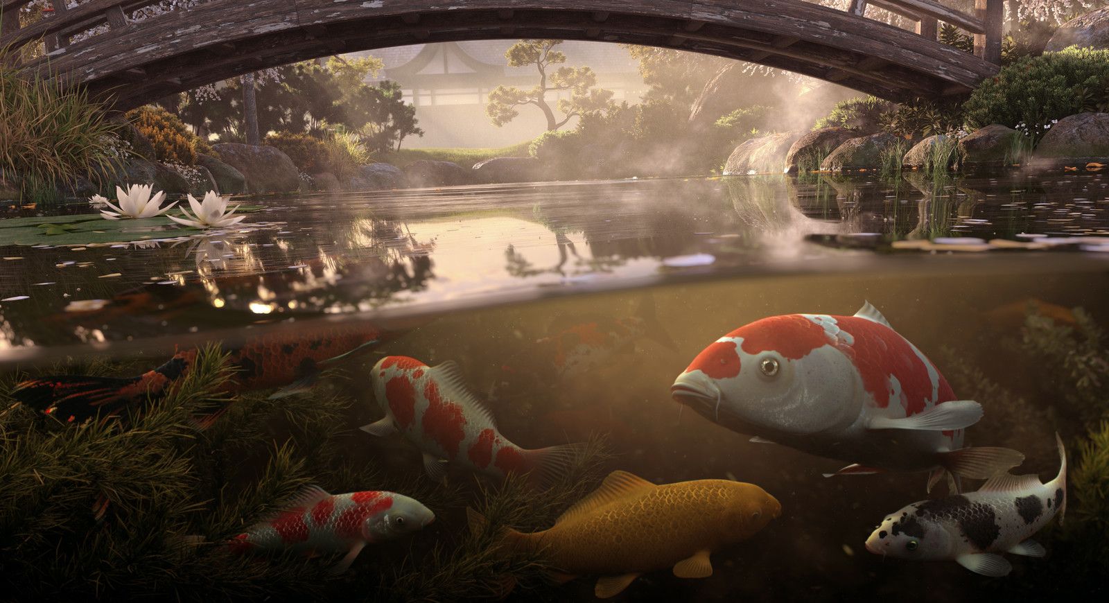 Koi Fish Pond 3d Model - HD Wallpaper 