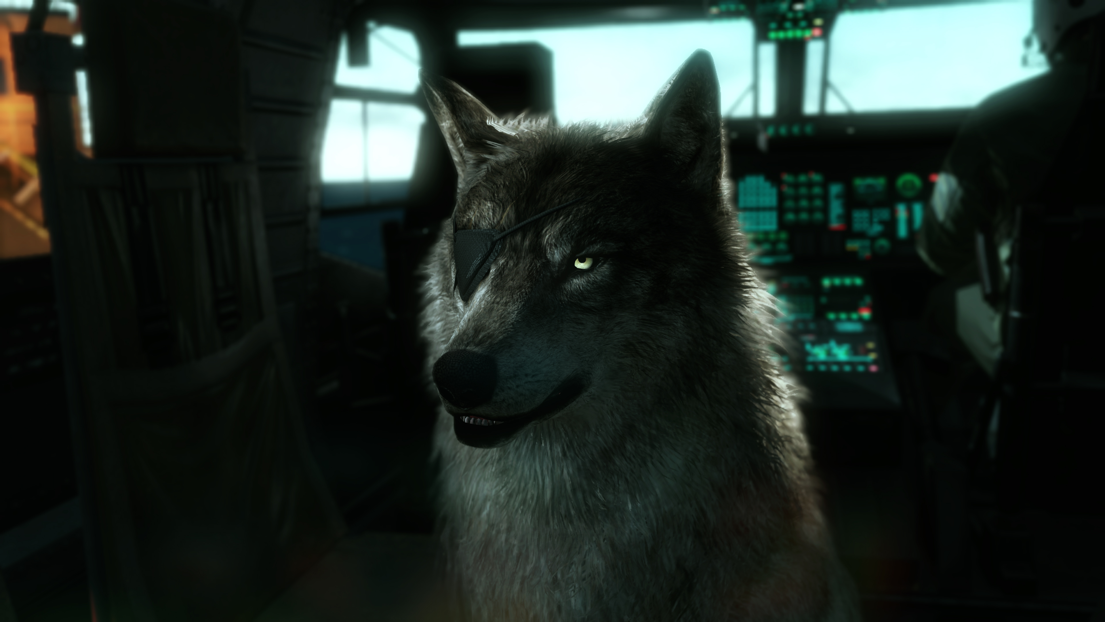 D Dog Metal Gear 3840x2160 Wallpaper teahub.io
