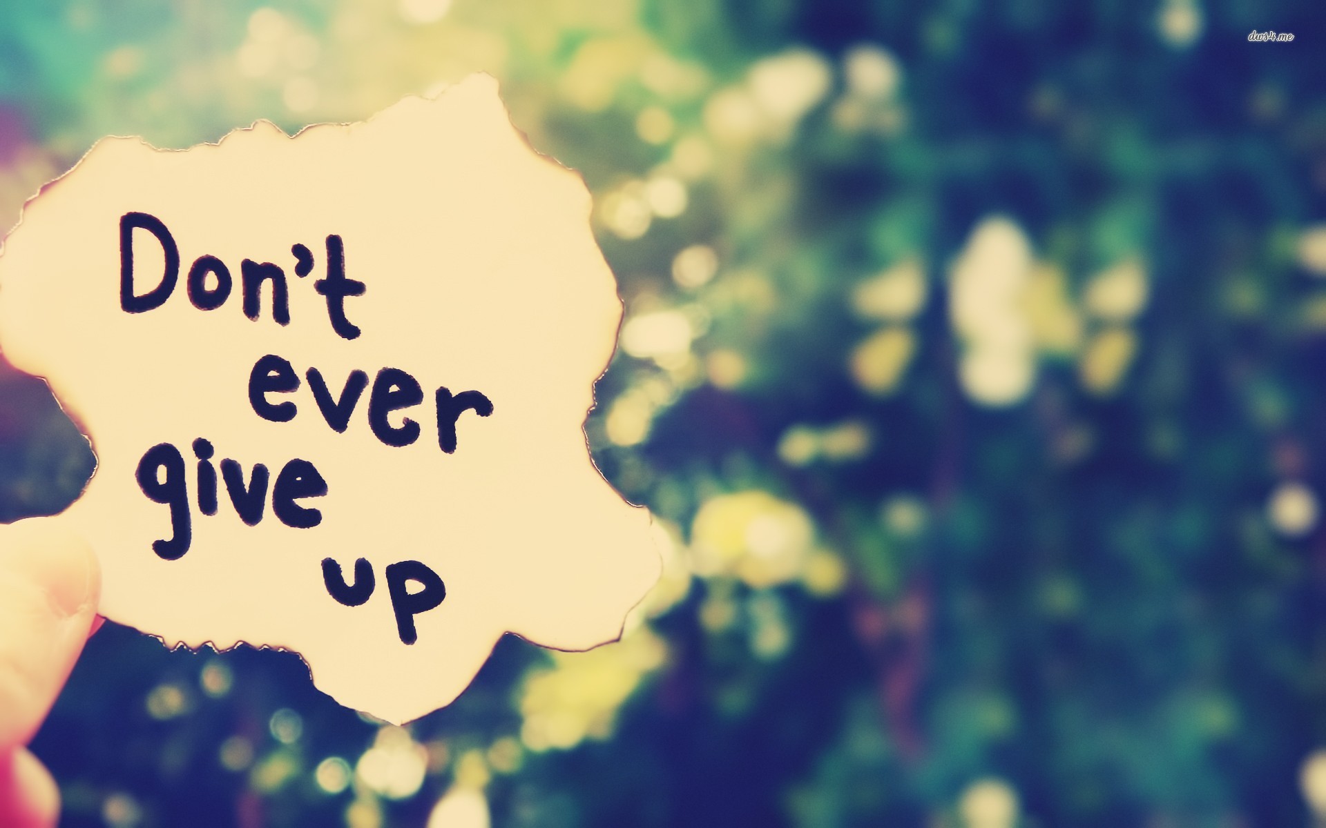 Don T Give Up Desktop - HD Wallpaper 