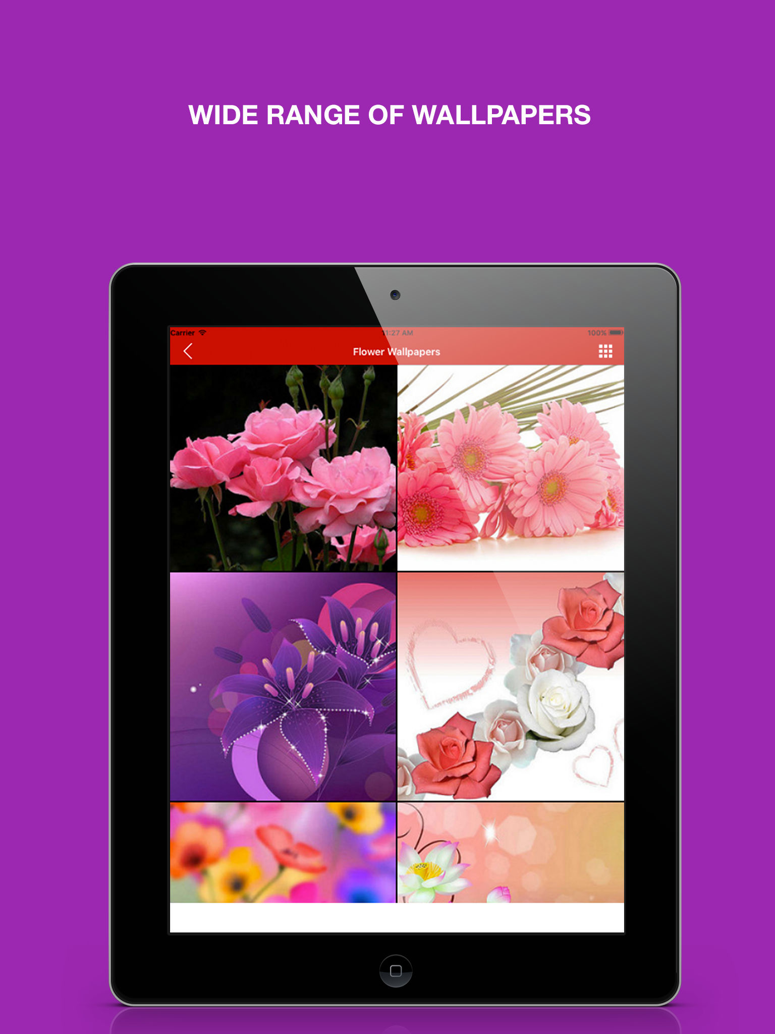 Flowers - HD Wallpaper 