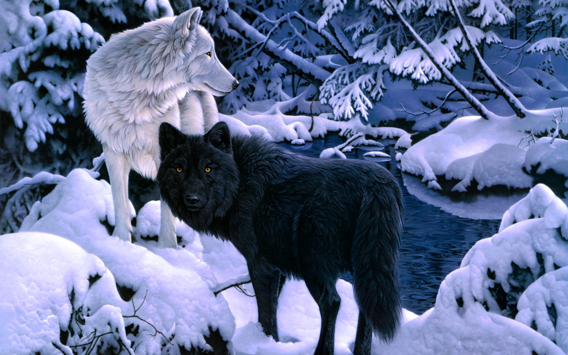 Dark Black And White Wolf - HD Wallpaper 