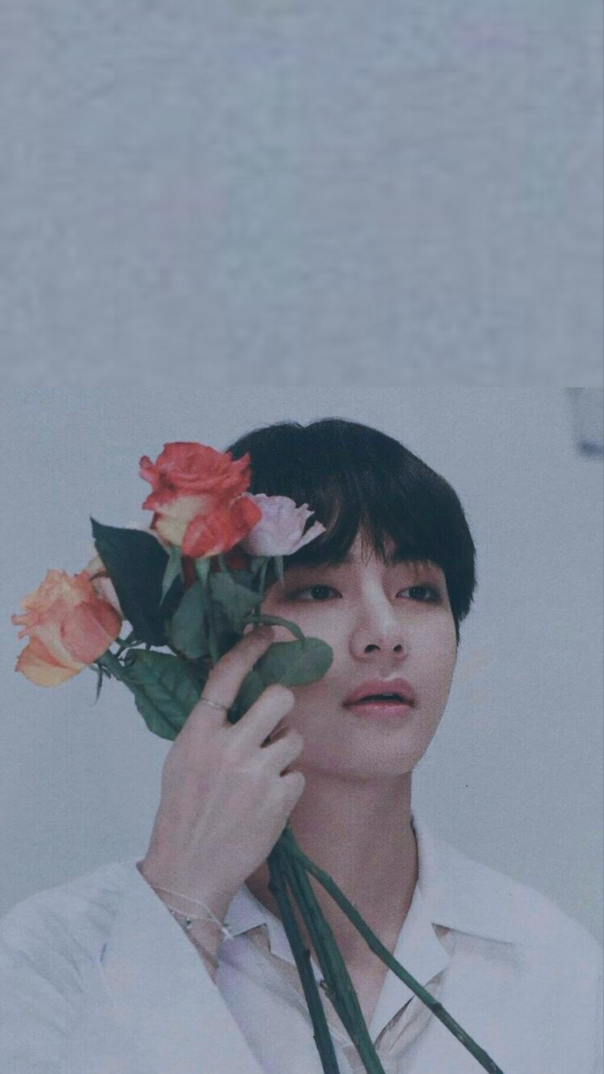 Kim Taehyung - HD Wallpaper 