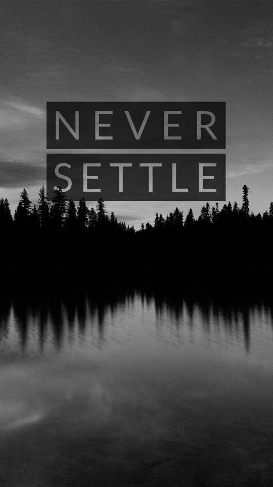 Never Settled - HD Wallpaper 