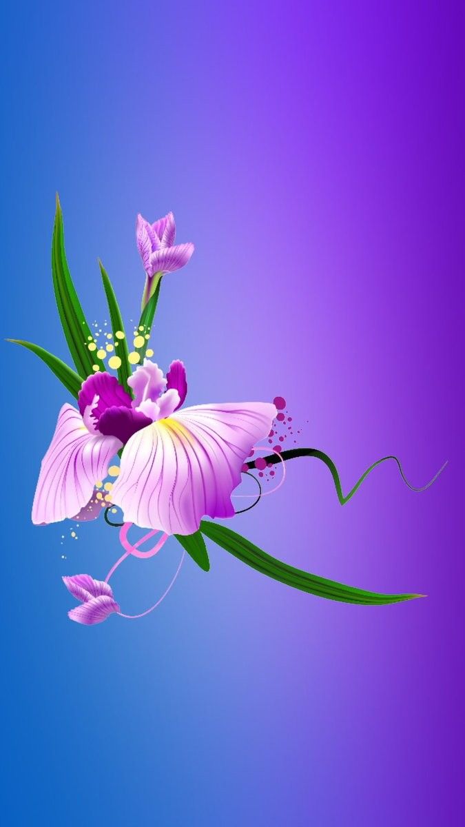 Ms Good Night - HD Wallpaper 