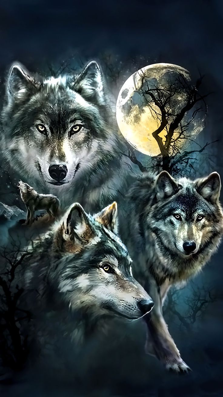 Wolf Wallpaper For Iphone - 3d Wolf Wallpaper Hd - HD Wallpaper 