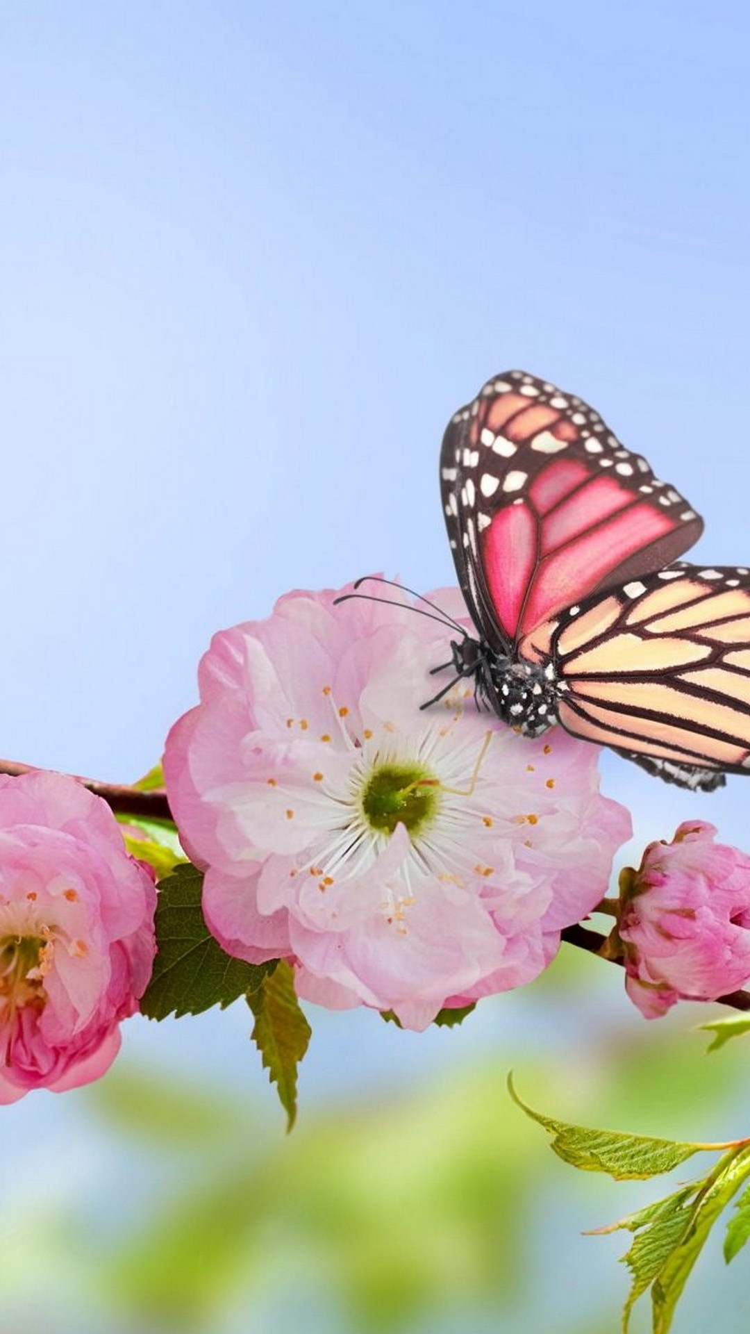 Android Wallpaper Hd Spring Flowers With Hd Resolution - New Flowers Wallpaper Hd 2019 - 1080x1920 Wallpaper Android Wallpaper Hd Spring Flowers With Hd Resolution - New Flowers Wallpaper Hd 2019 - 1080x1920 Wallpaper