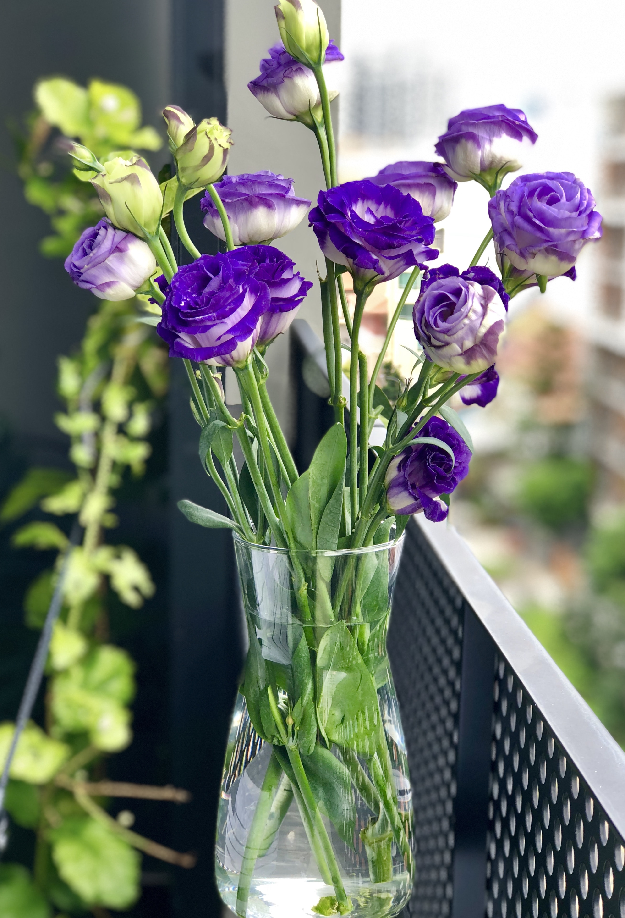 Beautiful Flower Images Download - HD Wallpaper 