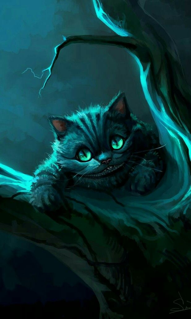 Cheshire Cat In Alice - HD Wallpaper 