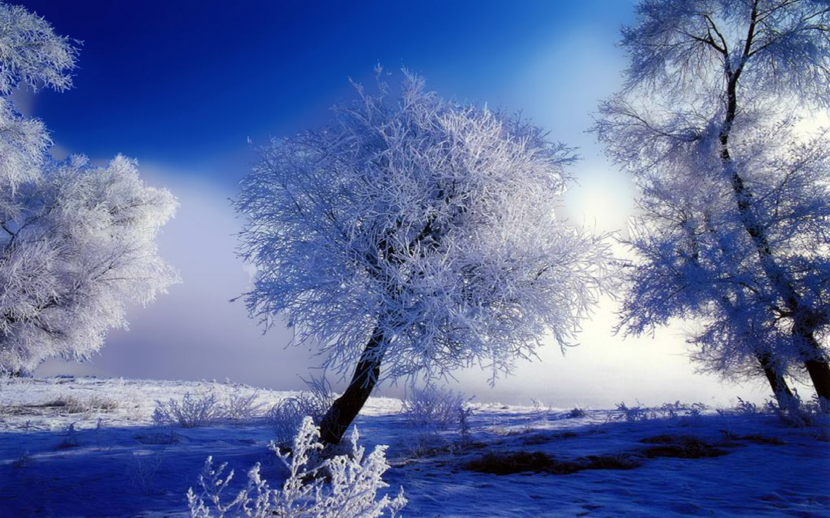 Beautiful Winter Snow Hd Wallpaper - HD Wallpaper 