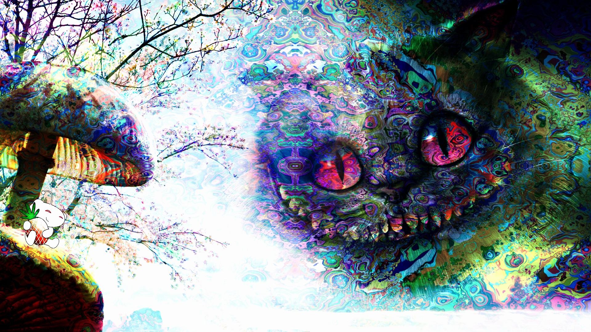 1920x1080, Trippy 
 Data Id 48233 
 Data Src /walls/full/a/c/0/48233 - Cheshire Cat Cool Background - HD Wallpaper 