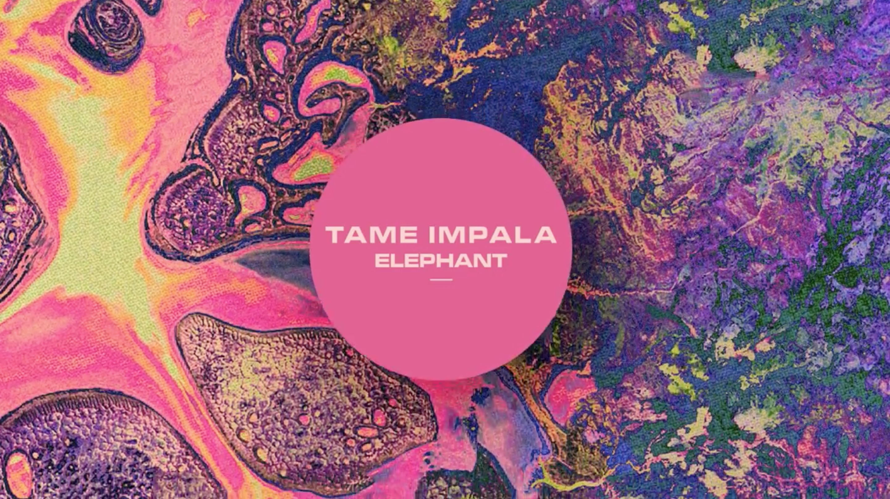 Tame Impala Elephant - HD Wallpaper 