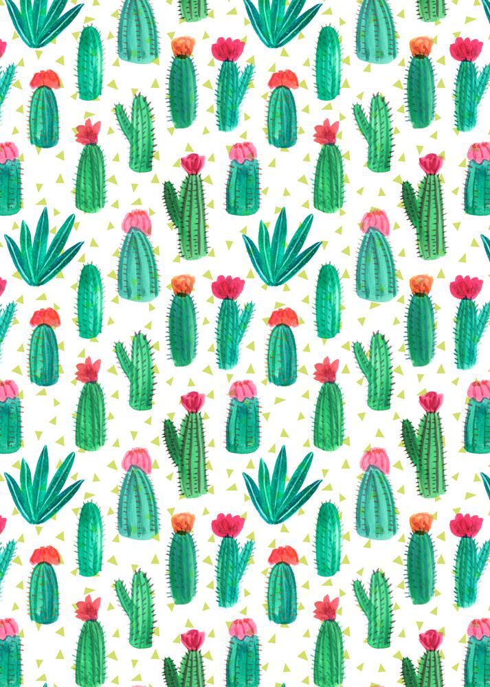 Cactus, Wallpaper, And Background Image - Pattern A4 - HD Wallpaper 