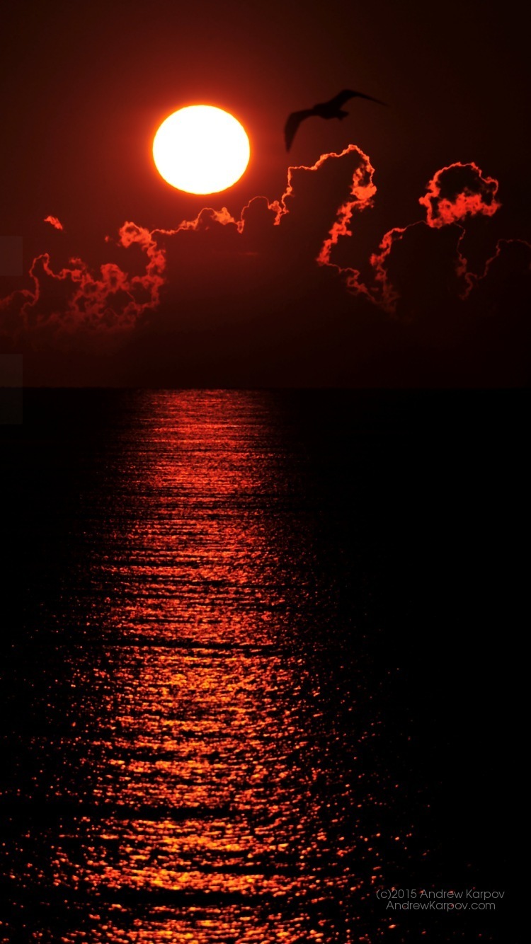 Enticing Wallpaper To Desktop - Sun Rise Hd Wallpaper For Mobile - HD Wallpaper 