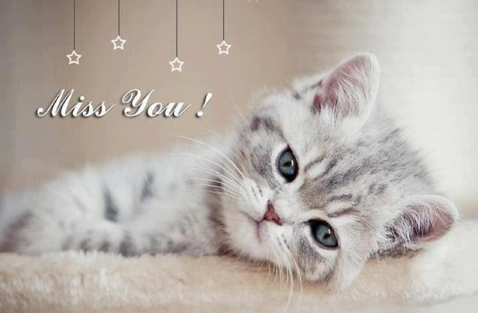 I Miss You Hd Images Hd Wallpapers Pictures Photos - Cute Miss You - HD Wallpaper 