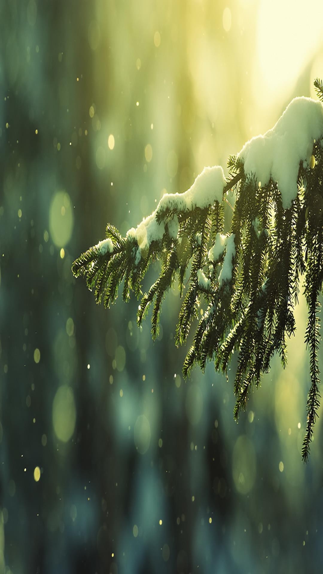 First Snow - HD Wallpaper 