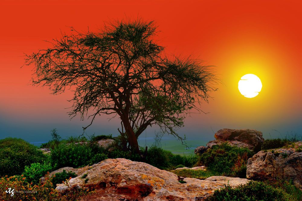 Israel Sunset - HD Wallpaper 