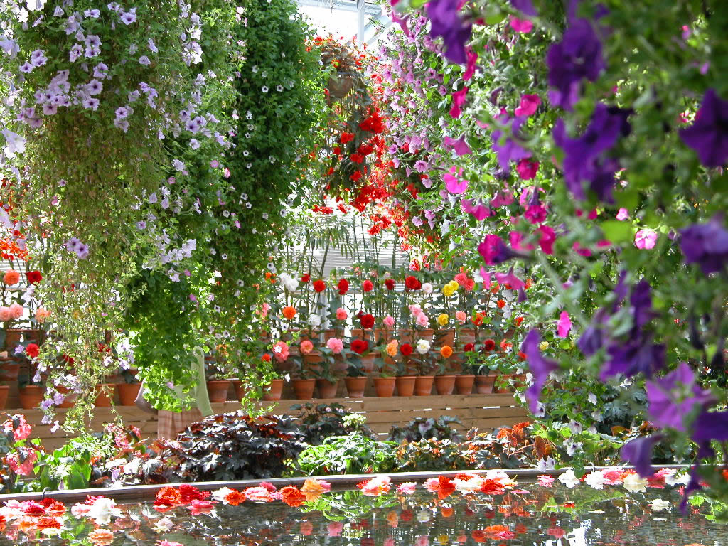 Flowers - Beautiful Wallpapers Of Flower Gardens - HD Wallpaper 
