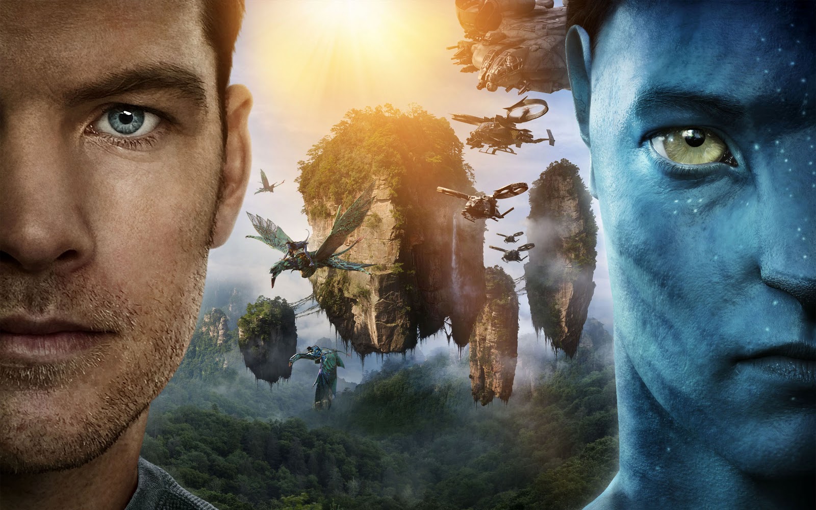 Hollywood Movies Wallpapers Hd - Avatar Movie - HD Wallpaper 