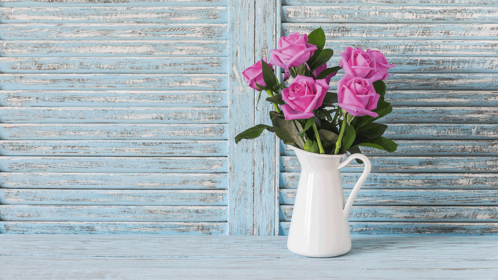 Garden Roses 1600x900 Wallpaper teahub.io