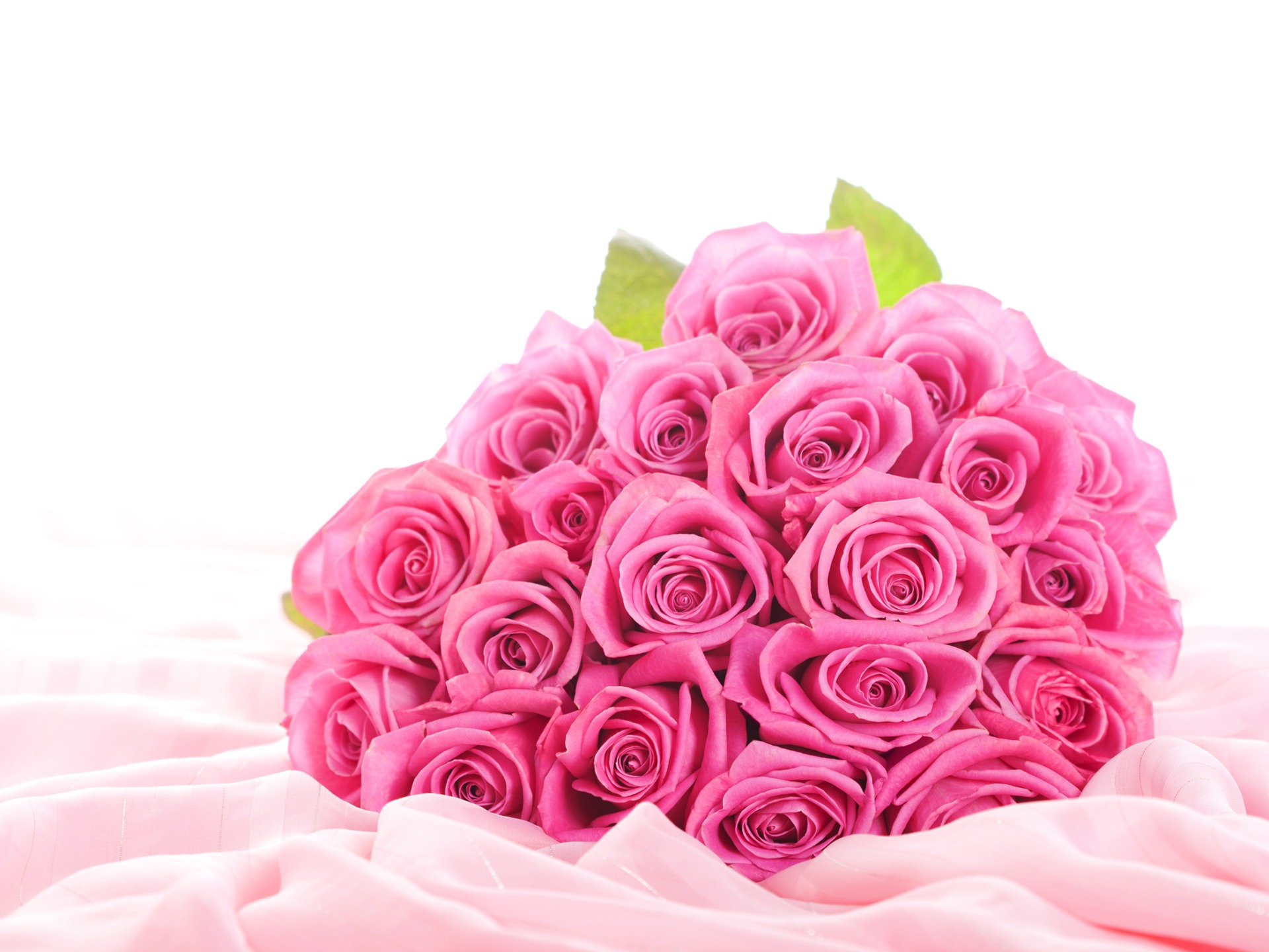 Rose Flower Backgrounds - HD Wallpaper 