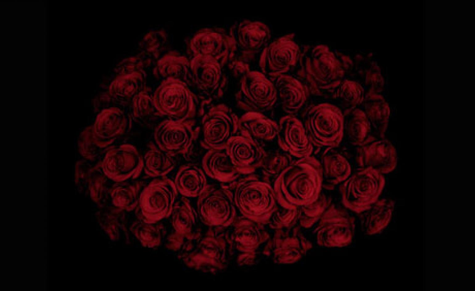 Guns And Red Roses - HD Wallpaper 