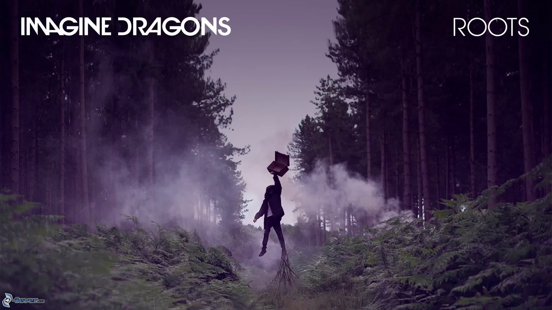 Imagine Dragons Hd Wallpaper - Imagine Dragons Roots - HD Wallpaper 