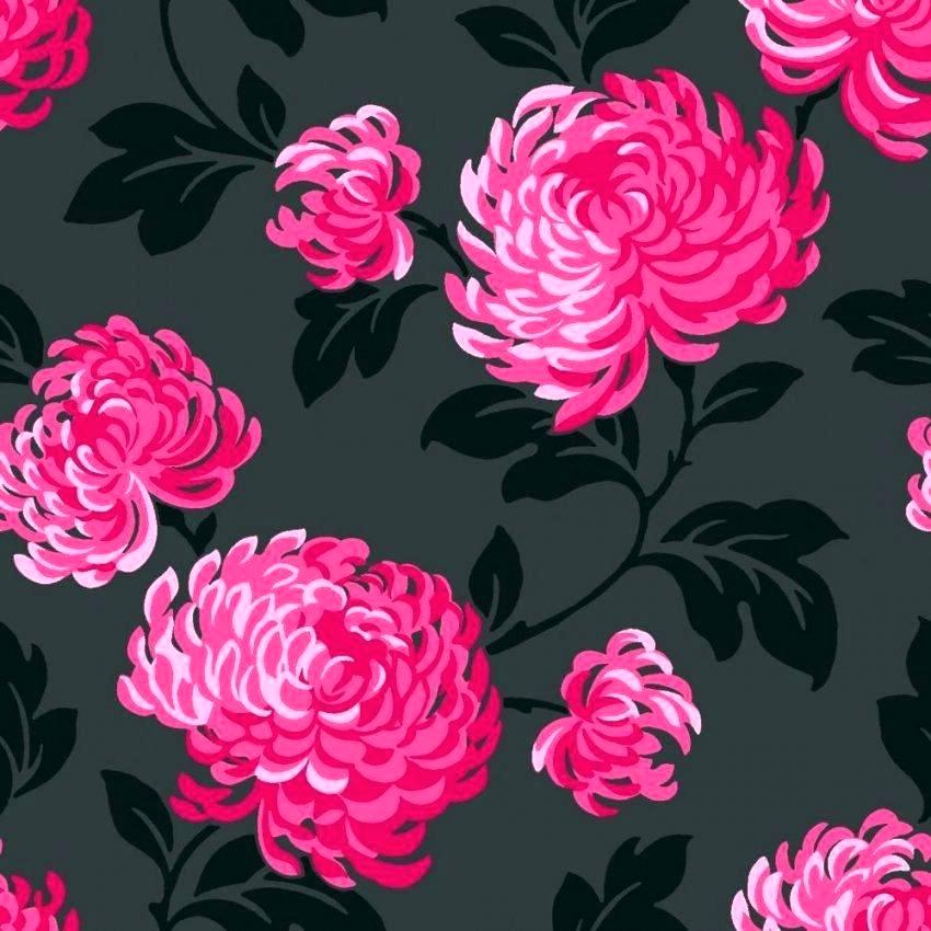Victoria Secret Bedroom Wallpaper Antique Secret Pink - Black And Pink Wallpaper Design - HD Wallpaper 