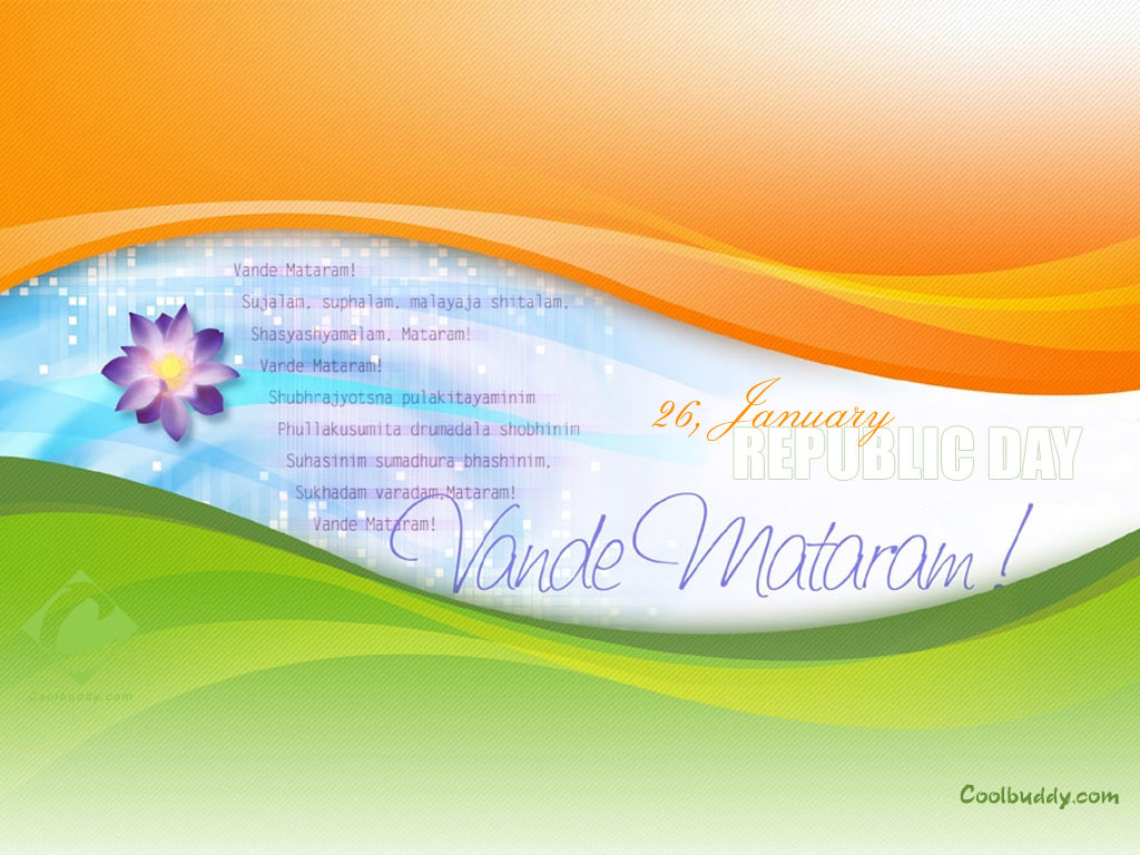 Flower - HD Wallpaper 