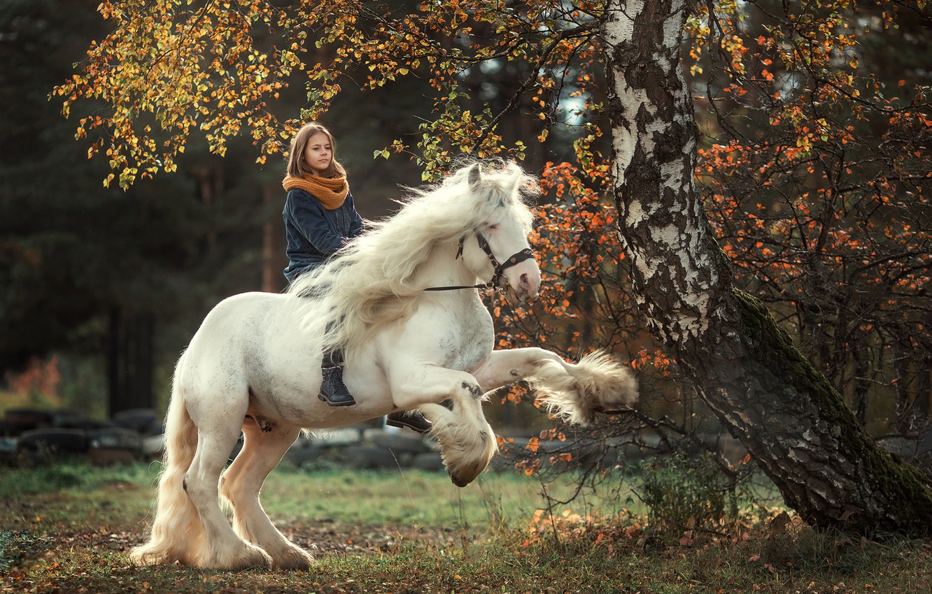 Photo Wallpaper Autumn, White, Horse, Horse, Girl, - Girl With White Horse - HD Wallpaper 
