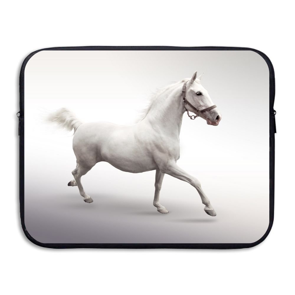 Lipizzaner Horse White Background - HD Wallpaper 